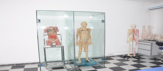 معمل التشريح العام